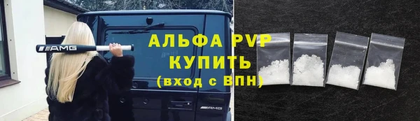 трава Белокуриха