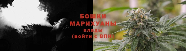 трава Белокуриха