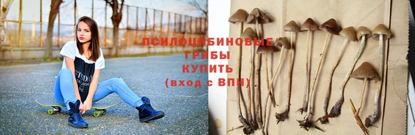 трава Белокуриха