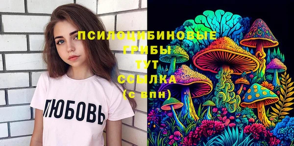 трава Белокуриха