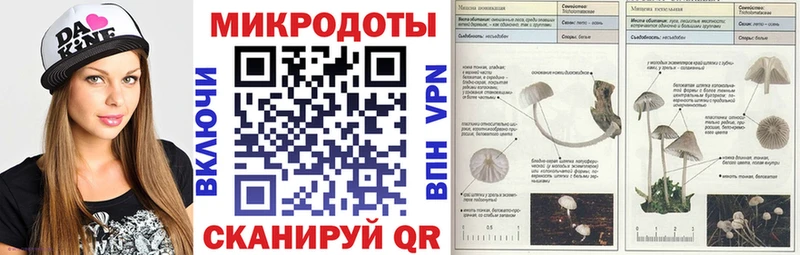 Псилоцибиновые грибы ЛСД  Котлас 